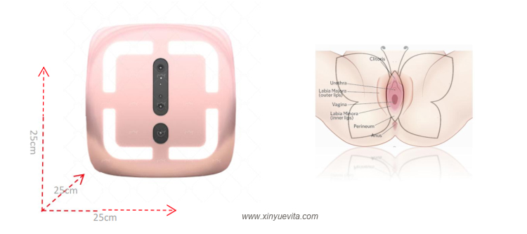 Intimate skincare product analzyer